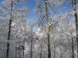 IMGP0873.JPG
