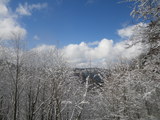IMGP0874.JPG
