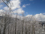 IMGP0875.JPG