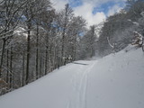 IMGP0877.JPG