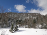 IMGP0878.JPG