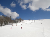 IMGP0881.JPG