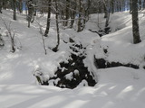 IMGP0882.JPG