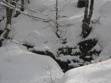 IMGP0883.JPG