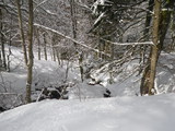 IMGP0884.JPG