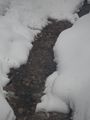 IMGP0888.JPG