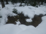IMGP0894.JPG