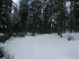 IMGP0896.JPG