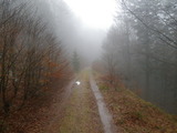 IMGP0913.JPG