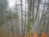 IMGP0914.JPG
