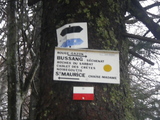 IMGP0916.JPG