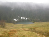 IMGP0917.JPG