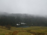 IMGP0918.JPG