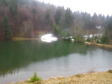 IMGP0919.JPG
