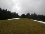 IMGP0921.JPG