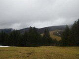 IMGP0922.JPG