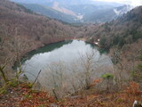 IMGP0929.JPG
