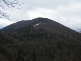 IMGP0930.JPG