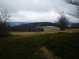 IMGP0931.JPG