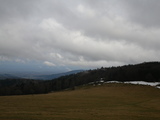 IMGP0935.JPG