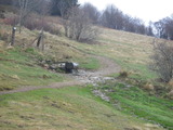 IMGP0936.JPG