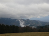 IMGP0938.JPG
