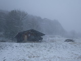 IMGP0945.JPG