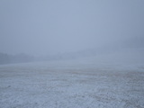 IMGP0946.JPG
