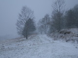 IMGP0947.JPG