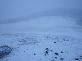 IMGP0952.JPG