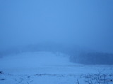 IMGP0955.JPG