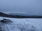 IMGP0959.JPG