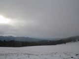 IMGP0970.JPG