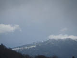 IMGP0972.JPG