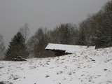 IMGP0974.JPG