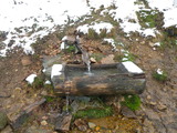 IMGP0975.JPG