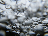 IMGP0976.JPG