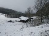 IMGP0977.JPG