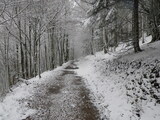 IMGP0979.JPG