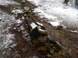 IMGP0982.JPG