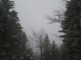 IMGP0985.JPG
