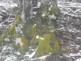 IMGP0987.JPG