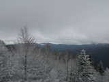 IMGP0993.JPG