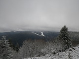 IMGP0994.JPG