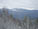 IMGP0995.JPG