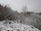IMGP0996.JPG
