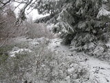 IMGP0998.JPG
