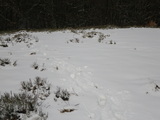 IMGP1005.JPG
