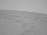 IMGP1016.JPG