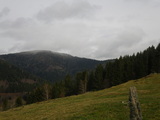 IMGP1028.JPG